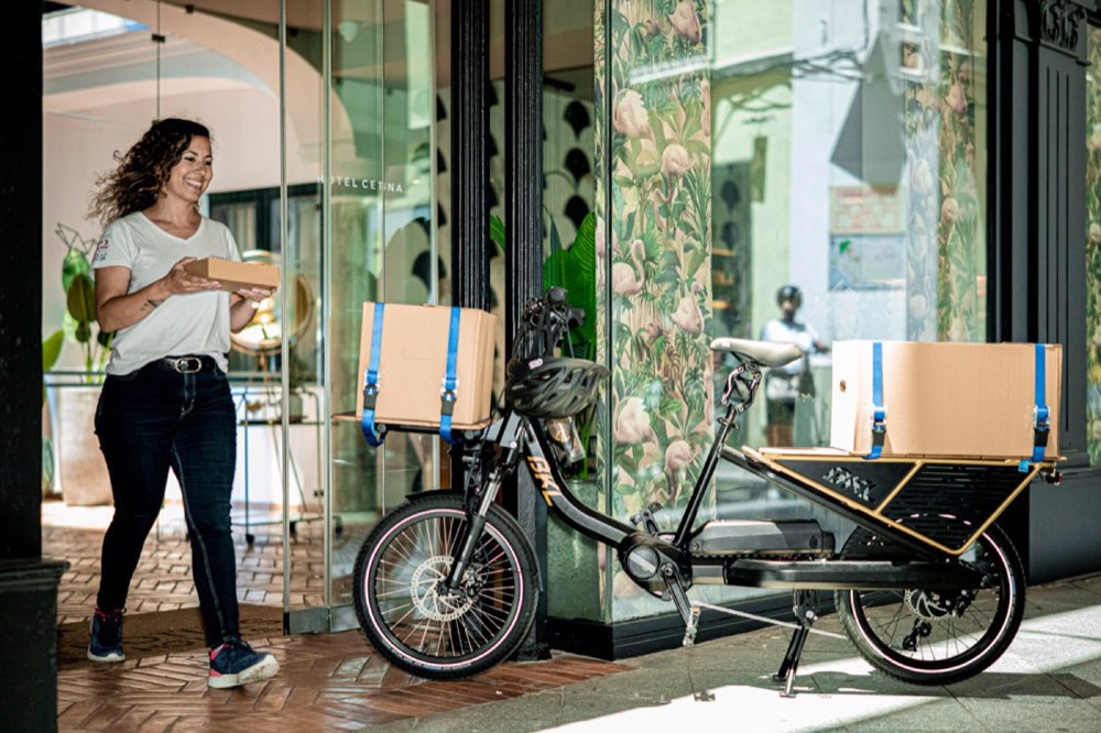 Bicicleta Eléctrica BKL LT Cargo Drive