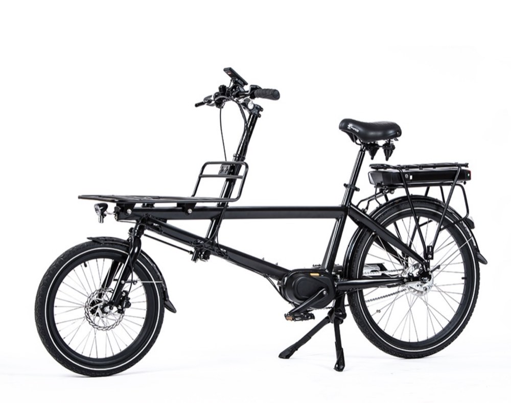 Cargobike Delivery 2 Wheel