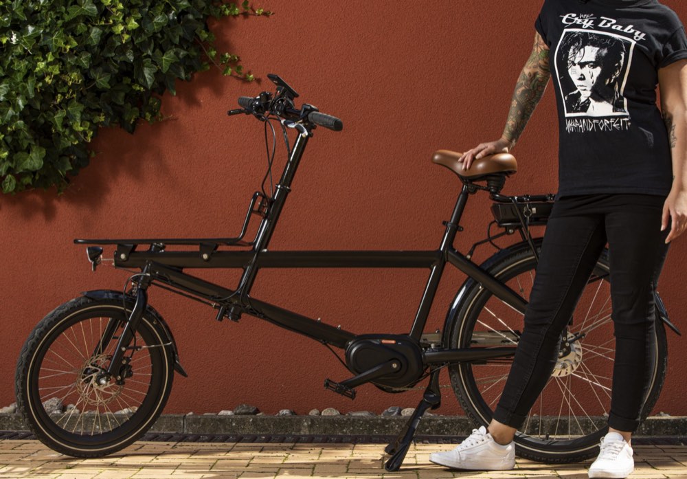 Cargobike Delivery 2 Wheel