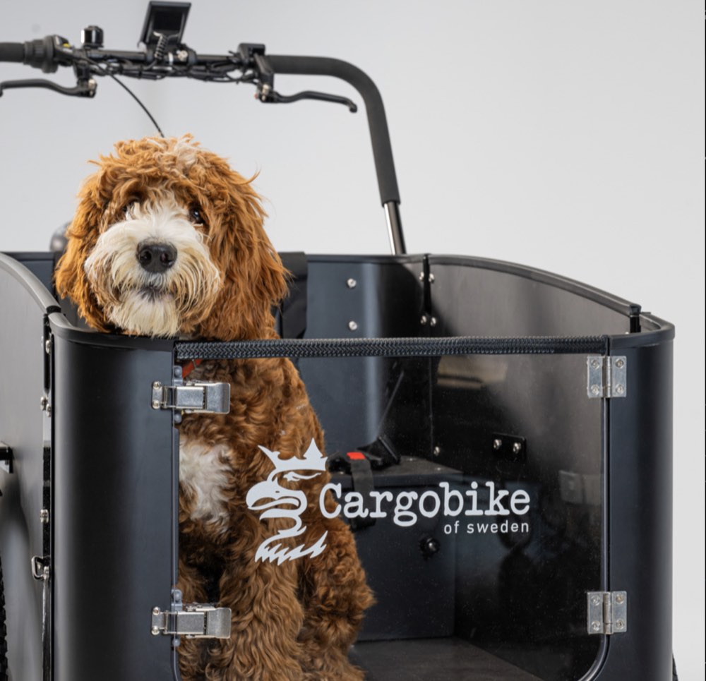 Cargobike Flex Dog