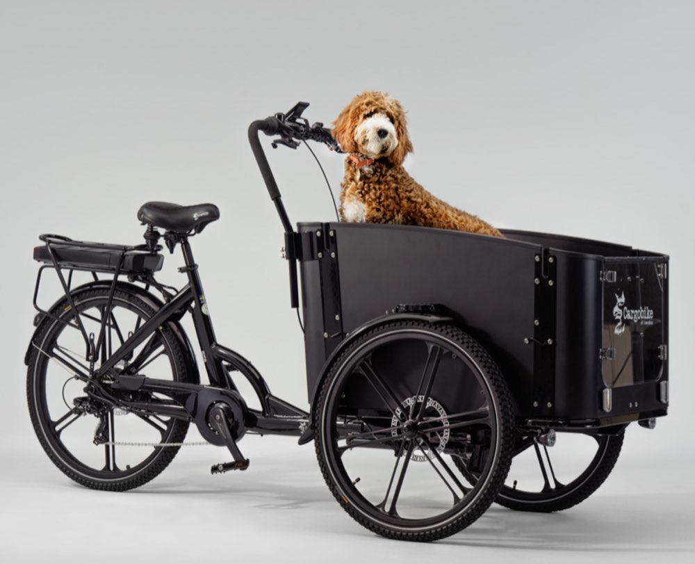 Cargobike Flex Dog