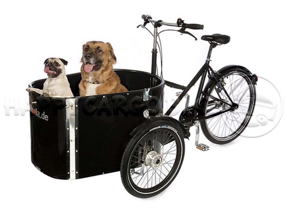 NIHOLA Dog