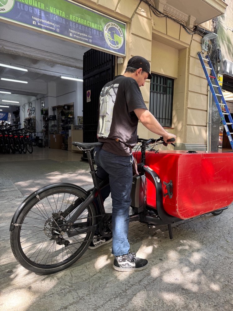 TRIOBIKE CARGO BIG CON ASISTENCIA ELECTRICA de Segunda Mano