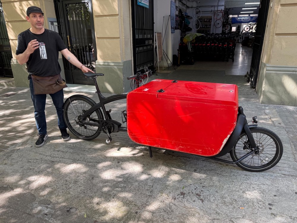 TRIOBIKE CARGO BIG CON ASISTENCIA ELECTRICA de Segunda Mano