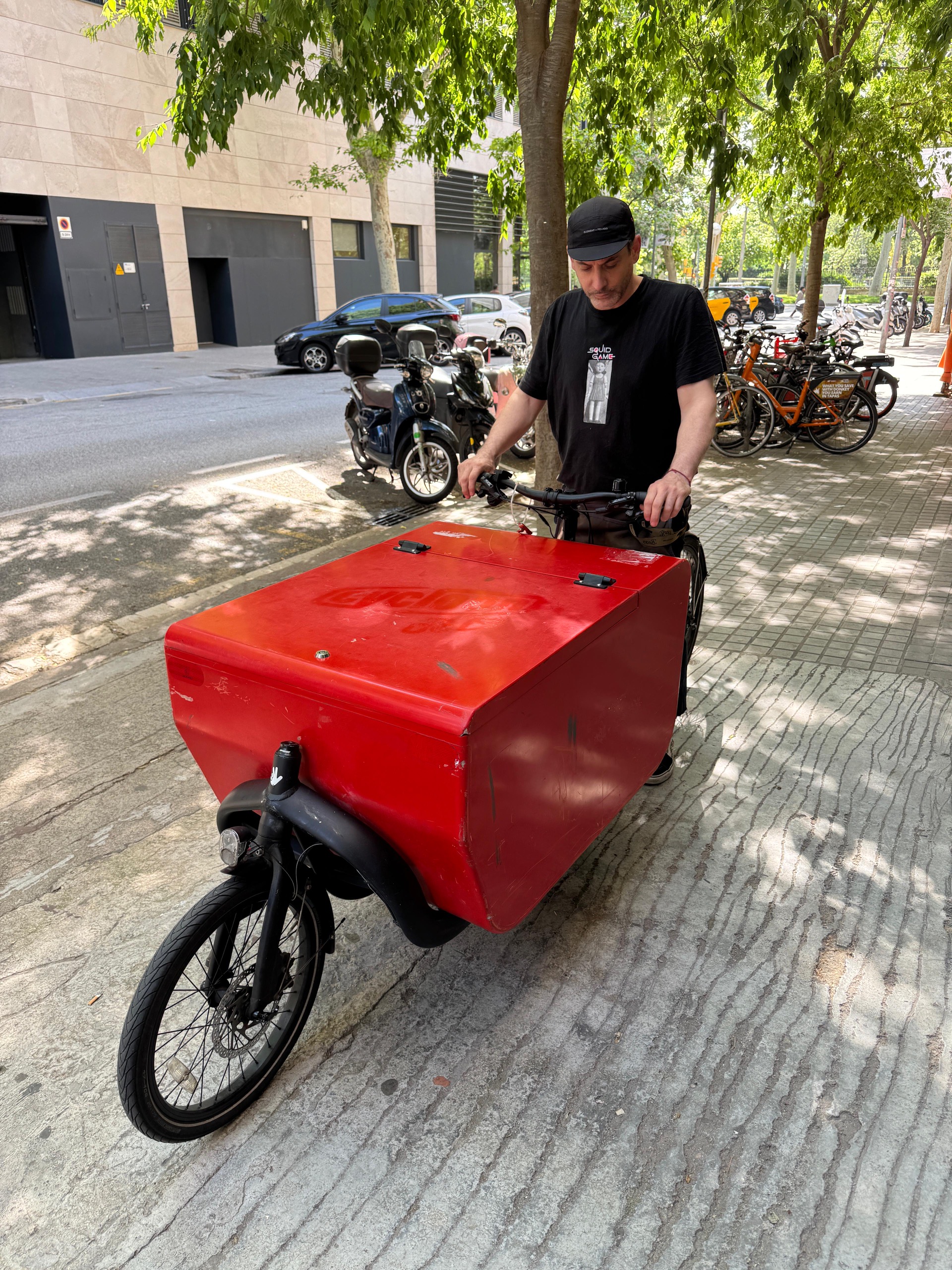TRIOBIKE Cargo Big électrique d’occasion